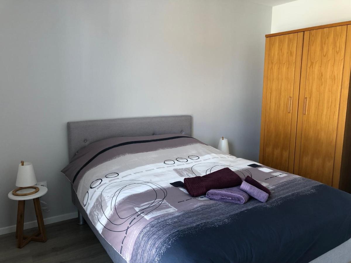Appartement Magniolia Proche Centre Ville 科尔马 外观 照片