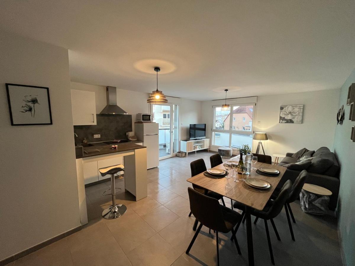 Appartement Magniolia Proche Centre Ville 科尔马 外观 照片