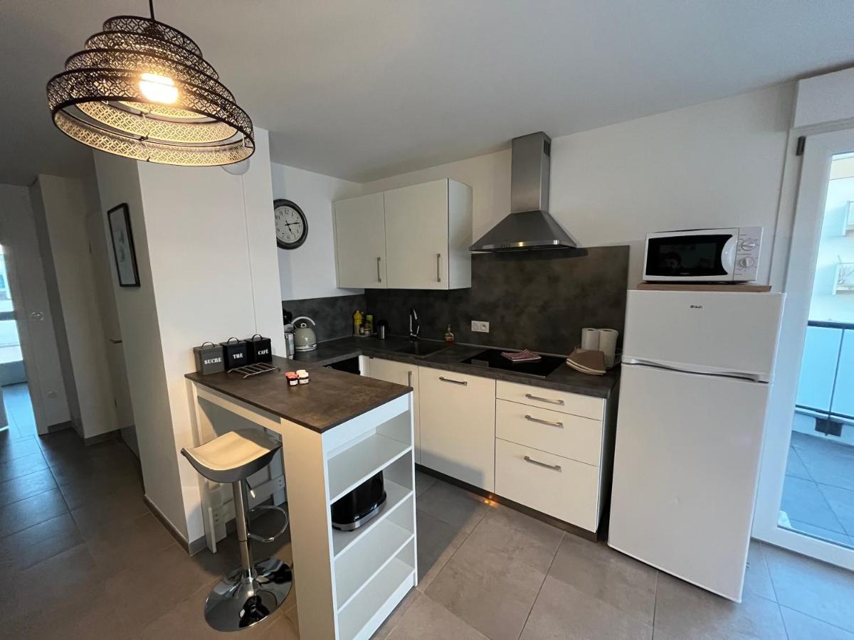 Appartement Magniolia Proche Centre Ville 科尔马 外观 照片